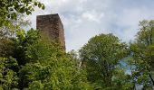 Tour Wandern Zabern - Saverne : rocher Rappenfels - grotte St Vit - château Greifenstein - Photo 20