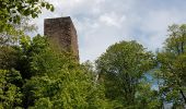 Trail Walking Saverne - Saverne : rocher Rappenfels - grotte St Vit - château Greifenstein - Photo 20