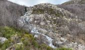 Trail Walking Vialas - Vialas tour du Rocher de Treize - Photo 3