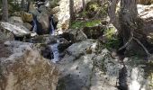 Trail Walking Asco - Haute-Corse- Gorges de l Asco - Photo 1