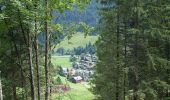 Percorso A piedi Alpthal - Brunni - Muesliegg - Photo 1