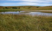 Tour Wandern Fraissinet-de-Fourques - 48  sommet du Gargo 13/07/24 - Photo 2