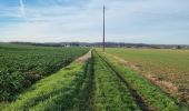 Percorso Marcia Marcilly-en-Beauce - Varennes - Photo 9
