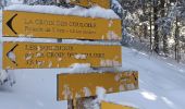 Tour Schneeschuhwandern La Pesse - L'Embossieux-La Croix des couloirs-La Pesse - Photo 10