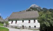 Tocht Te voet Admont - Wanderweg 77, Sonnenseitenweg - Photo 10