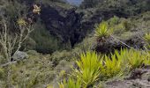 Tour Wandern La Possession - la Nouvelle  Roche Plate  - Photo 5