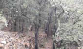 Tour Wandern Duilhac-sous-Peyrepertuse - boucle moulin de ribaute - duilhac - gorge du verdouble  - Photo 6