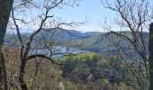 Trail Walking Chambon-sur-Lac - BOUCLE AUTOUR DE LA COUZE DE SURAINS - Photo 7