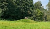 Tocht Stappen Oud-Heverlee - Autour de Haasrode - Photo 1