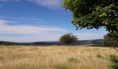 Tour Wandern Schalkenmehren - VulkanEifel Daun - Photo 3