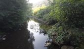 Tocht Mountainbike Chimay - Baileux - Couvin - Ry de Rome - Regniessart - 65km  : 1250 - Photo 16