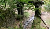 Tour Wandern Saint-Sauveur-Camprieu - Col du Faubel  lac Camprieu Col du faubel - Photo 1