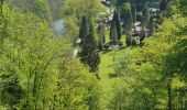 Tocht Stappen Ferrières - rando sy 3-05-2022 - Photo 3