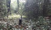 Trail Walking Livron - Livron bois et chats11082021 - Photo 2