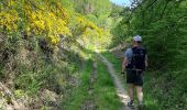 Tour Wandern Bouillon - Bouillon -  Dohan par GR AE - Photo 5