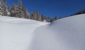 Tocht Sneeuwschoenen La Pesse - L'Embossieux - Les Planes - Photo 8