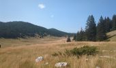 Randonnée Marche Saint-Agnan-en-Vercors - Rocher de la Peyrouse - Photo 2