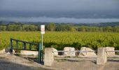 Percorso Marcia Pourrières - Mont Olympe - Rocher de Onze Heures - Photo 6