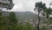 Trail Walking Saint-Guilhem-le-Désert - Le roc aux vignes - Photo 9