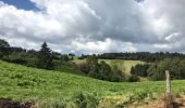 Tour Wandern Vagney - La cascade du Pissoire - Photo 3