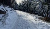 Randonnée Marche Stoumont -  Neucy , bergerie de la Lienne 13 Km - Photo 7