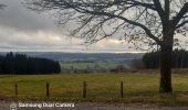 Tocht Stappen Trois-Ponts - GR 5 EN BOUCLE LIEGE TOME 2 rando 29 14km - Photo 3