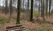 Tour Wandern Ottignies-Louvain-la-Neuve - El djeu d'balle, El bo d'lauzelle et r'tour  - Photo 8