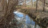 Tocht Stappen Hannuit - La promenade de la Mouhagne  - Photo 5