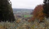 Trail Walking Manhay - Dochamps 271020 - Photo 2