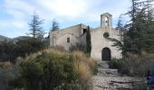 Randonnée Marche Vaugines - PF-Vaugines - Le Mourre Nègre à partir de Vaugines - Photo 7