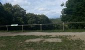 Trail Walking Compiègne - Randonnée en Forêt de Compiègne_51_le Mont du Tremble et les Beaux Monts - Photo 20