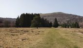 Trail Walking Orcines - Orcines le Pariou - Photo 1
