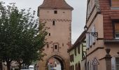 Excursión Senderismo Rosheim - Le vignoble de Rosheim - Photo 19