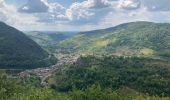 Trail Walking Cerdon - Cedron  - Photo 3