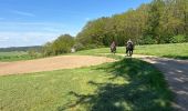 Tocht Paardrijden Bastenaken - Luxembourg  - Photo 2