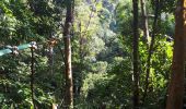 Tour Wandern Ban Phakkout - Tad Fan Boucle - Photo 3