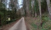 Tour Wandern Piégros-la-Clastre - chemin des maries retour Estour - Photo 1