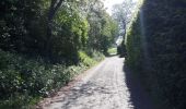 Tour Rennrad Watermael-Boitsfort - Watermaal-Bosvoorde - 2020.05.18.V - Photo 11