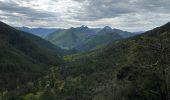 Tour  Châtillon-en-Diois - Châtillon en Diois col de Caux  - Photo 8