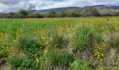 Tour Wandern Mallefougasse-Augès - promenade  - Photo 4