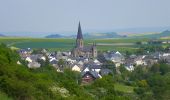 Tour Zu Fuß Welling - Nette-Schieferpfad - Photo 8