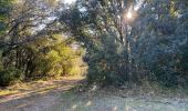 Excursión Senderismo Méounes-lès-Montrieux - Melun es . Les barres de cuers  - Photo 8