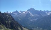 Randonnée Marche Chamonix-Mont-Blanc - Les Lacs Noirs 10.7.22 - Photo 15