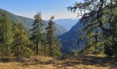 Trail Walking Belvédère - montée  - Photo 4