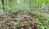 Trail Walking Orrouy - clone 41_2952279 - Photo 5