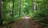 Randonnée Marche Notre-Dame-de-Bondeville - Randonnée en forêt Domaniale de Normandie - Photo 9