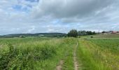Trail Walking Heuvelland - Loker 18,2 km - Photo 11