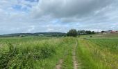 Tour Wandern Heuvelland - Loker 18,2 km - Photo 11