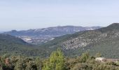 Tour Wandern Le Castellet - Les crêtes de Cuges les Pins - Photo 9