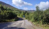 Tocht Stappen West Cork - Glengarriff - Ardrigole - Photo 1